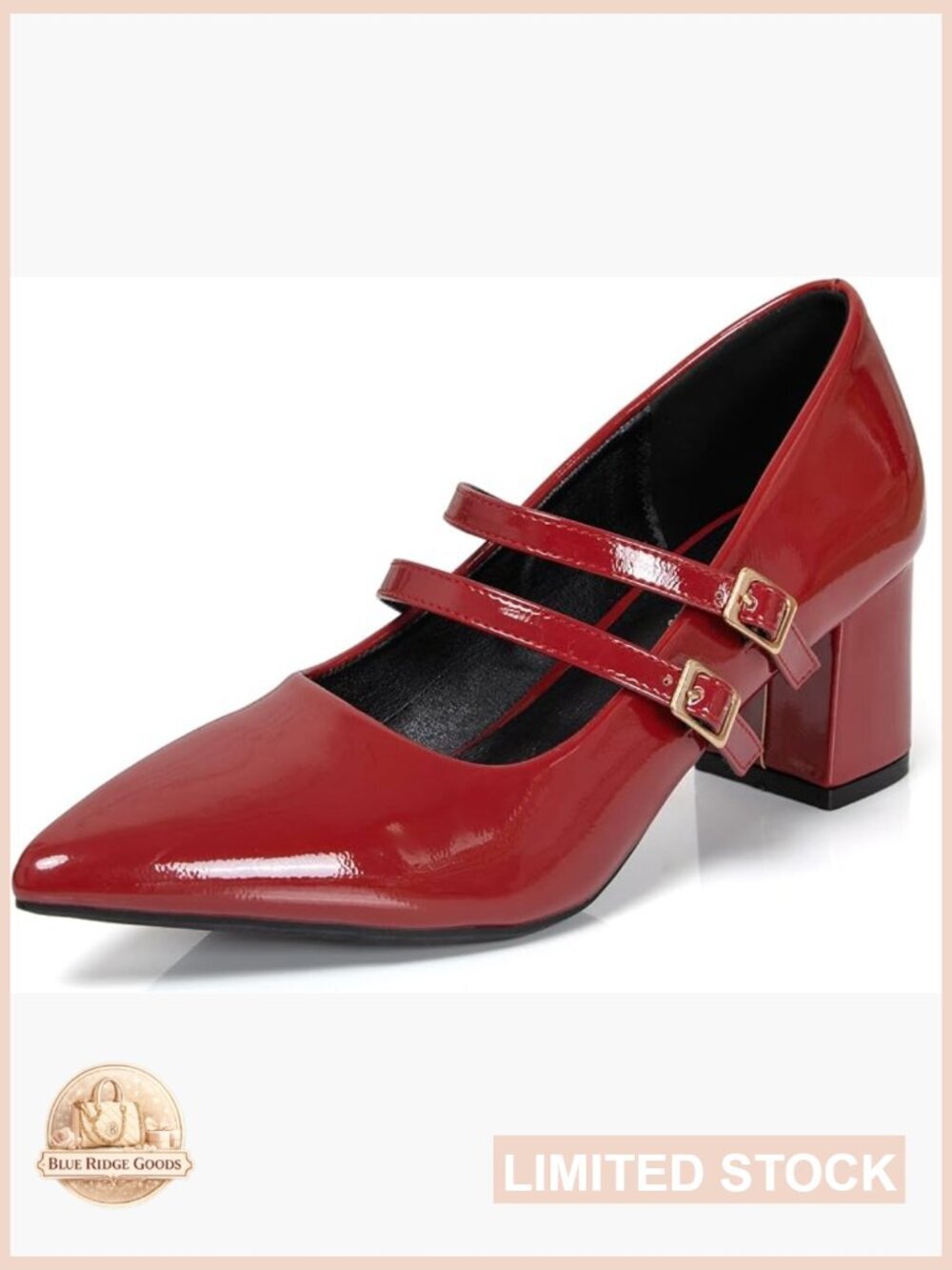Slip On Block Pumps with Double Strap Pointed Closed Toe Mary Jane 2.4 Inch